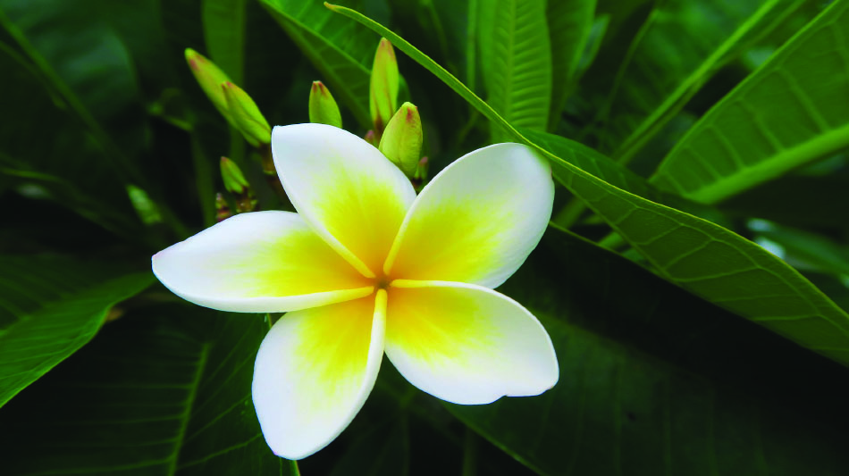 Coexist — A Meditation Poem on True Oneness and Giving