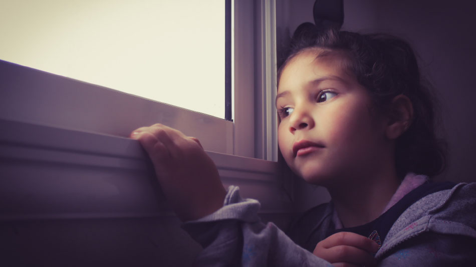 Do You Have Patience Like The Bear During Quarantine? Let’s Rise From The Grave, Which Are Our Minds