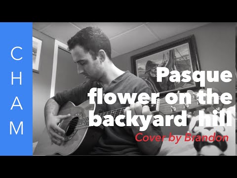 “Dweet dong saneh hal mee ggot “(Pasque Flower on the backyard hill) by Teacher Woo Myung