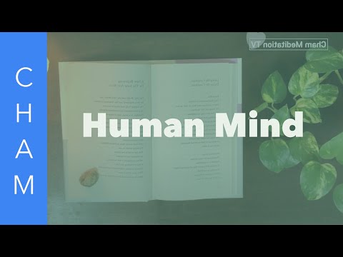 “The Human Mind — Why We All Live Inside an Illusion”