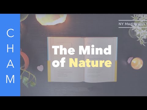 “The Mind of Nature — What Remains When Judgment Is Gone”