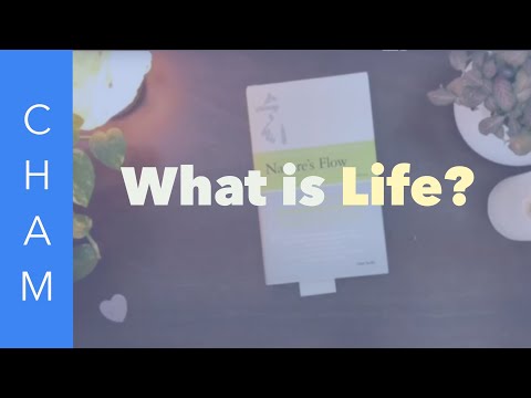 “What Is Life? — A Meditation Poem That Lays It All Bare”