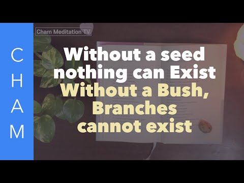 “Without a Seed, Nothing Can Exist — A Teaching on Origins”